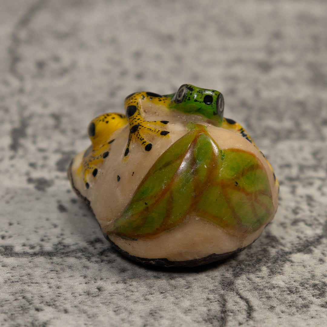 Green Yellow And Black Poison Dart Frog Tagua Carving