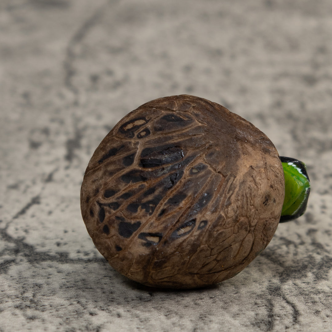 Black White And Green Poison Dart Frog Tagua Carving