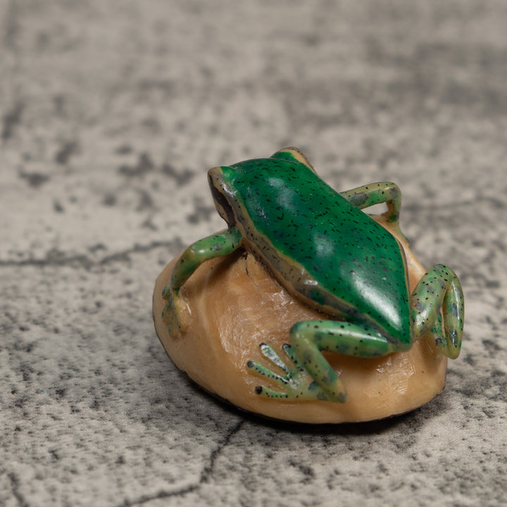 Green and Black Poison Dart Frog Tagua Carving
