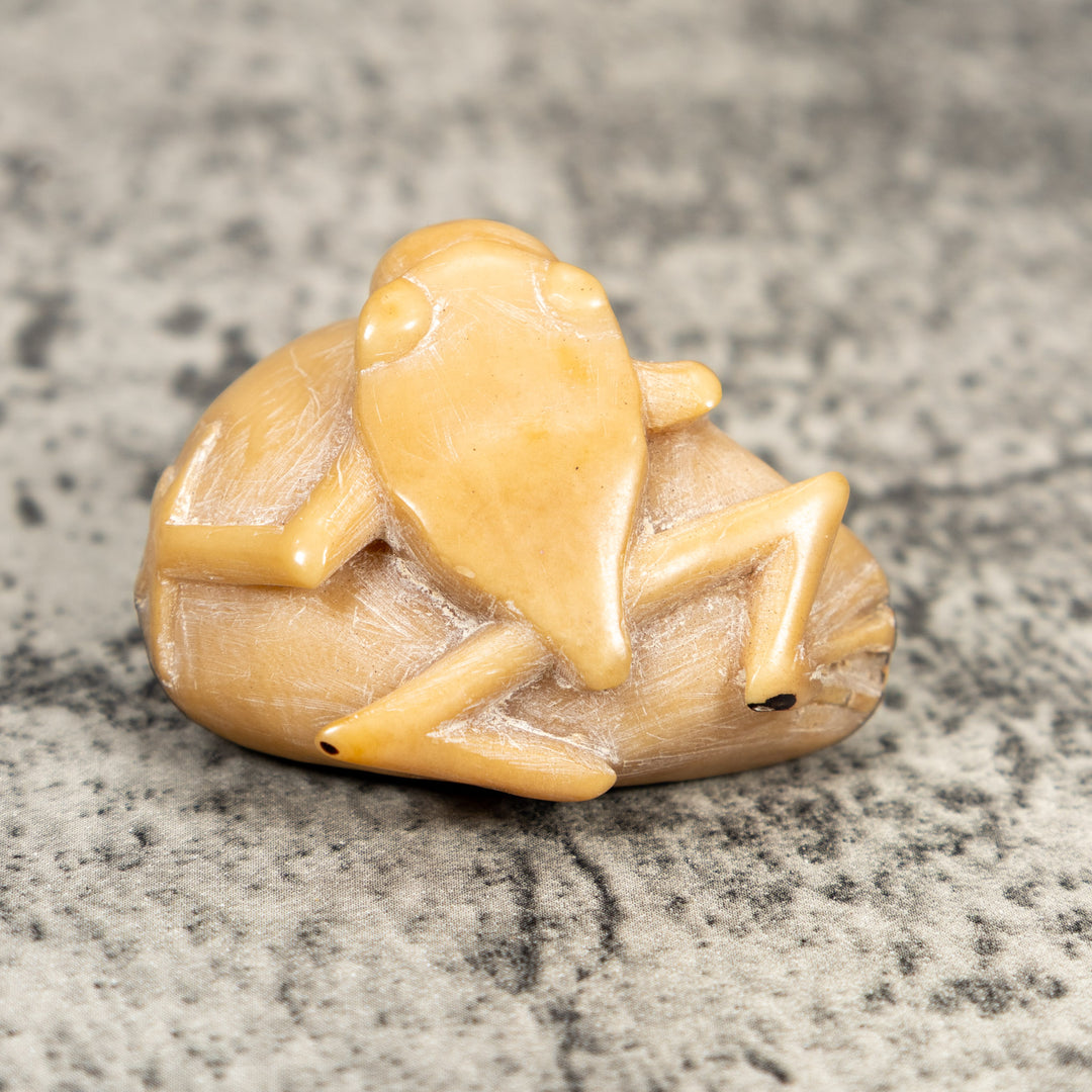 Natural White Blow Throat Frog Tagua Carving
