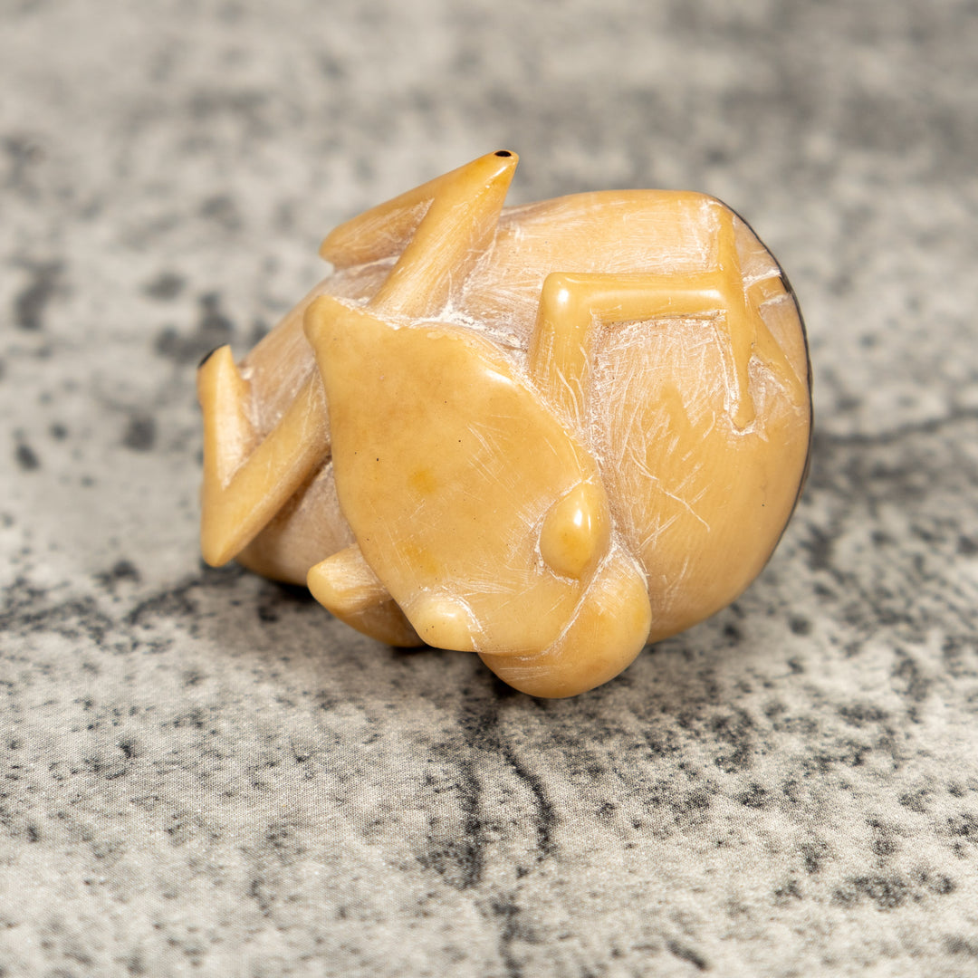 Natural White Blow Throat Frog Tagua Carving