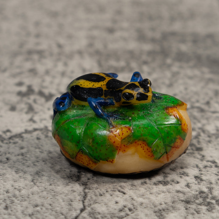 Black Blue And Yellow Poison Dart Frog Tagua Carving