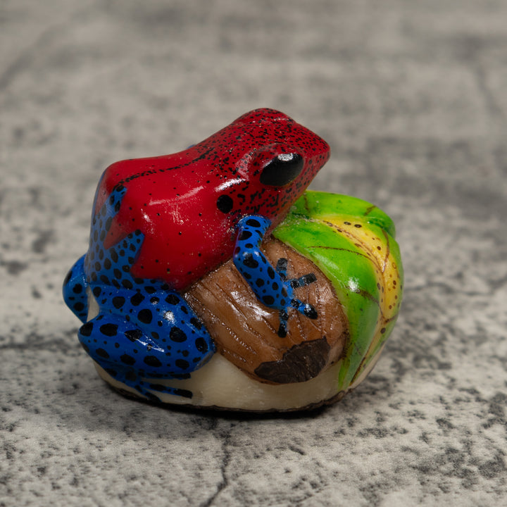Red And Blue Poison Dart Frog Tagua Carving
