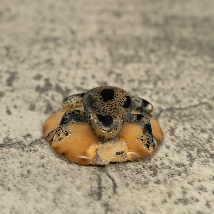 Translucent And Black Poison Dart Frog Tagua Carving