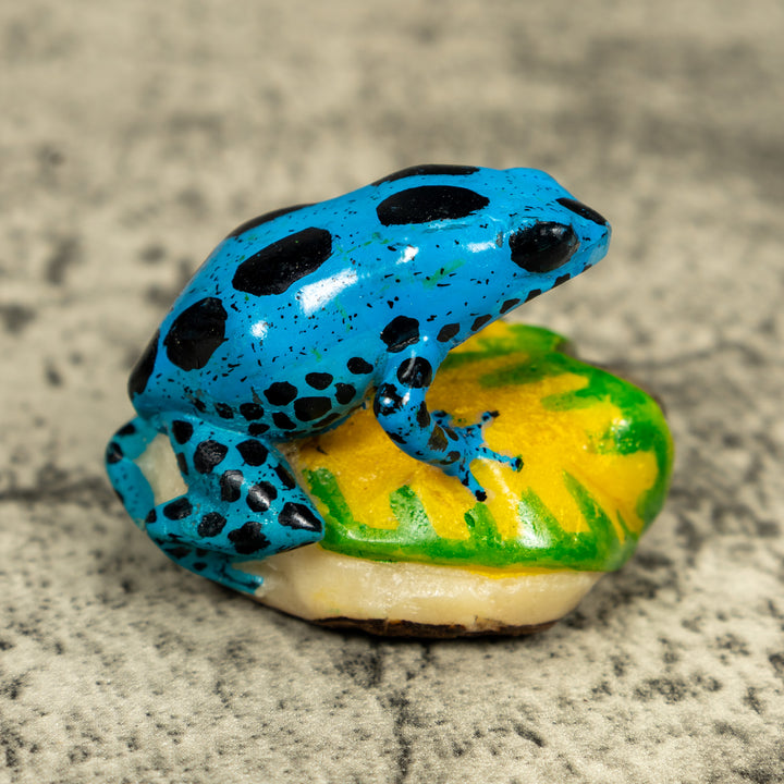 Blue And Black Poison Dart Frog Tagua Carving