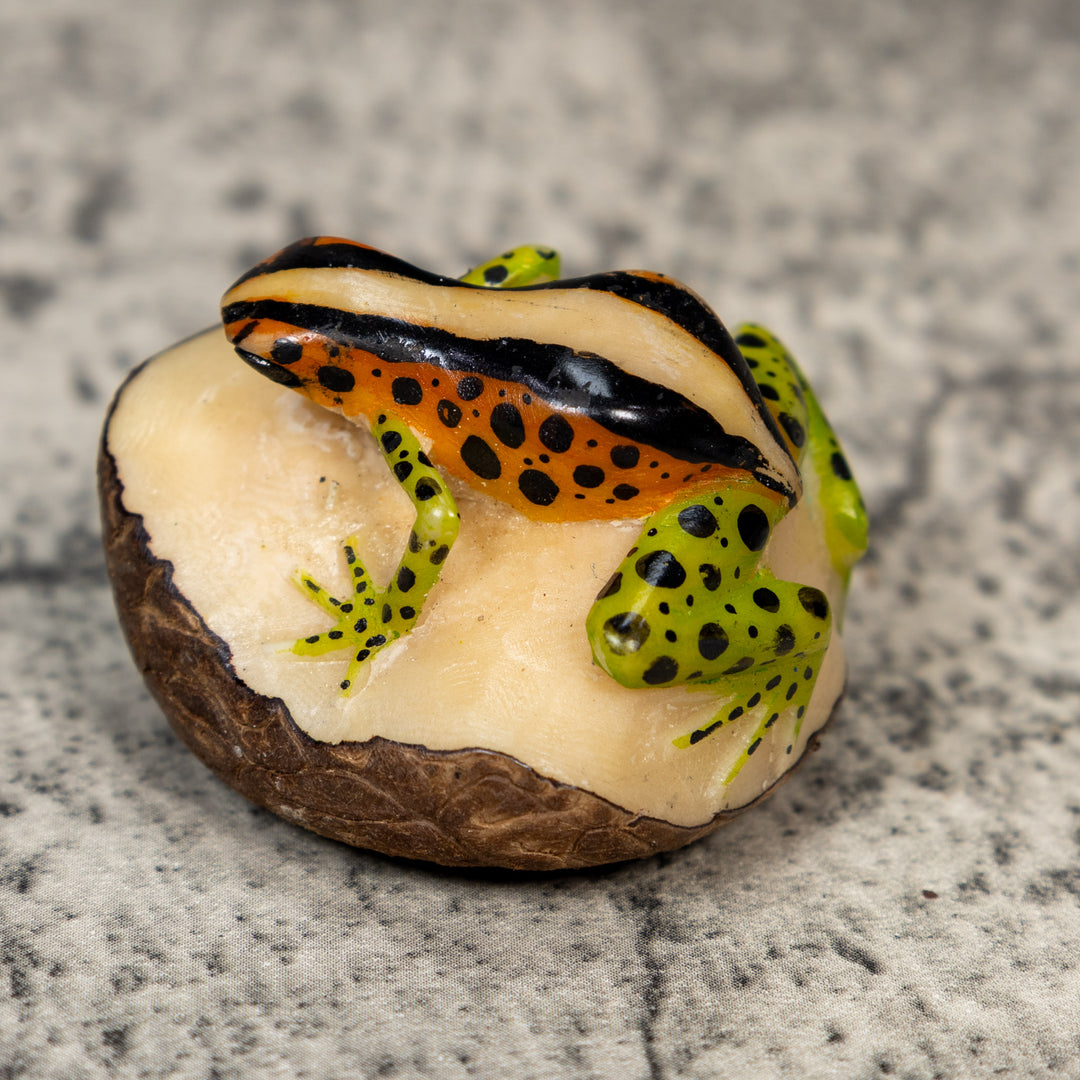 Gold Black And Green Poison Dart Frog Tagua Carving