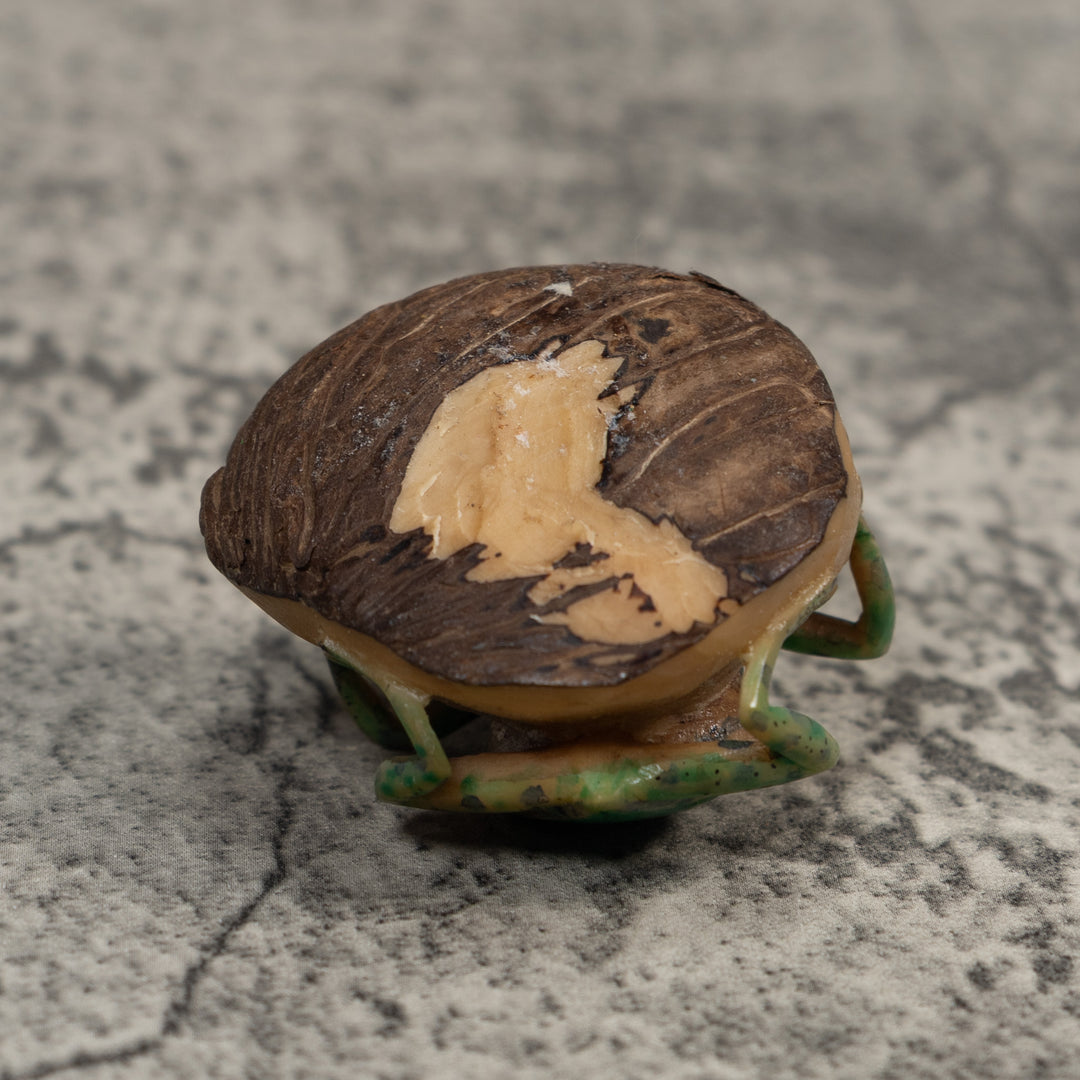Green and Black Poison Dart Frog Tagua Carving