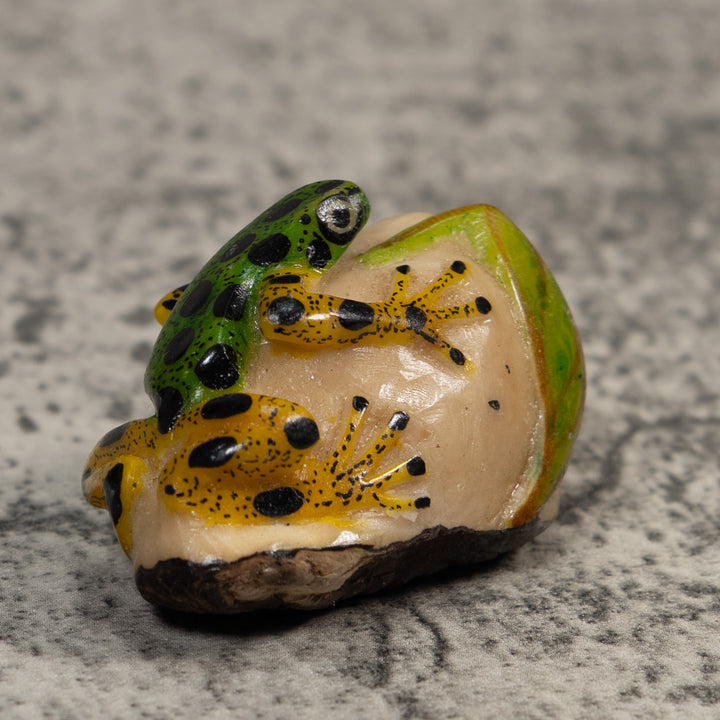 Green Yellow And Black Poison Dart Frog Tagua Carving