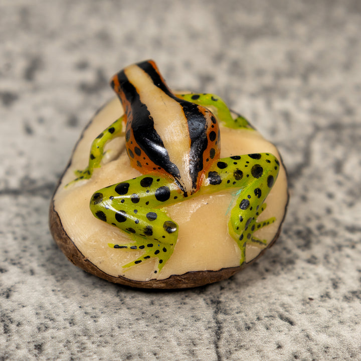 Gold Black And Green Poison Dart Frog Tagua Carving