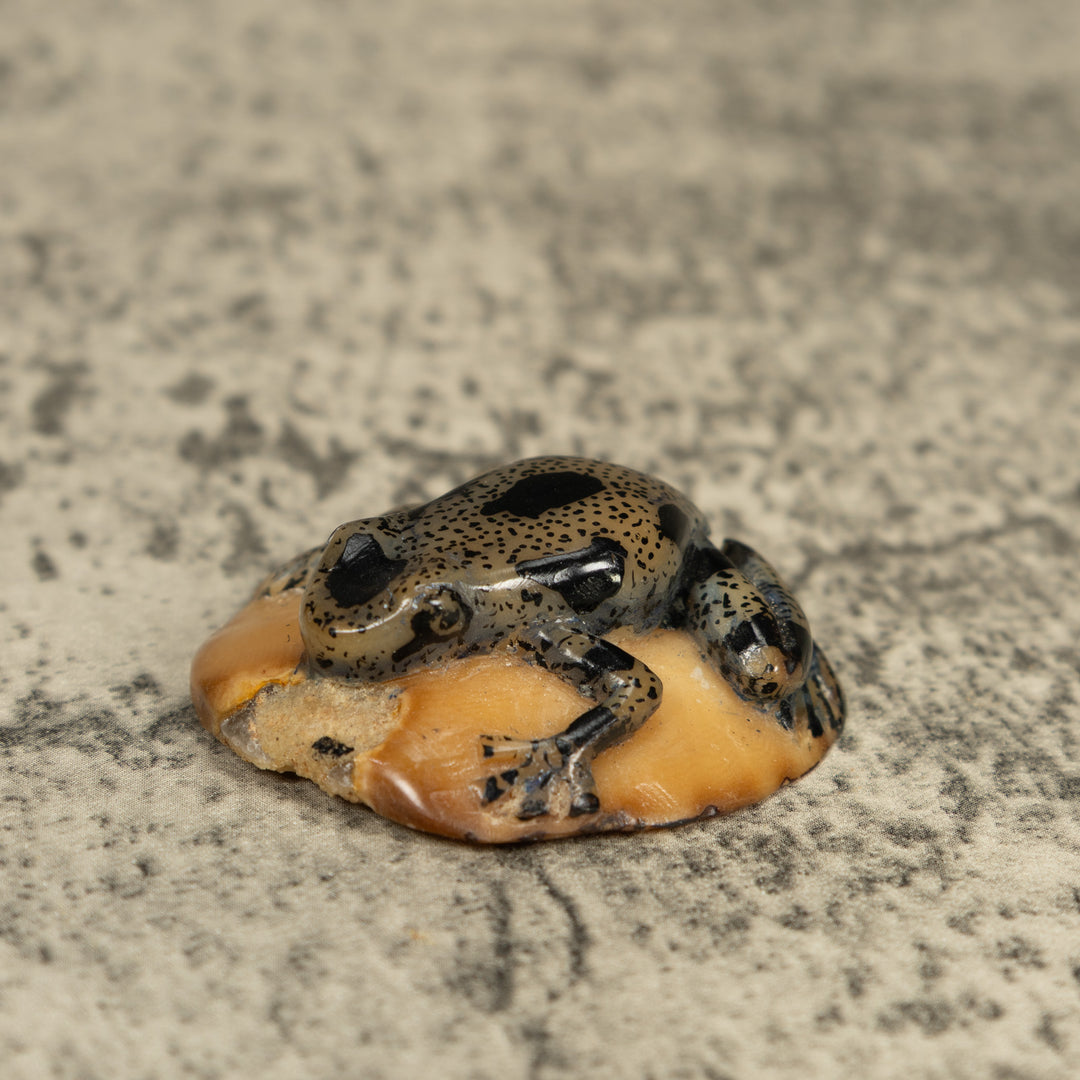 Translucent And Black Poison Dart Frog Tagua Carving