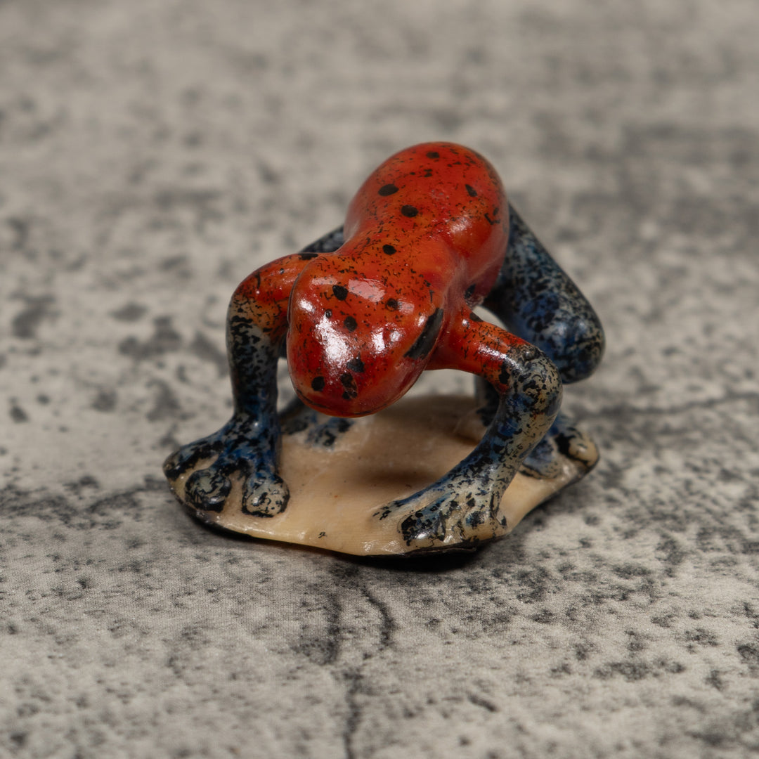 Poison Dart Frog Tagua Carving