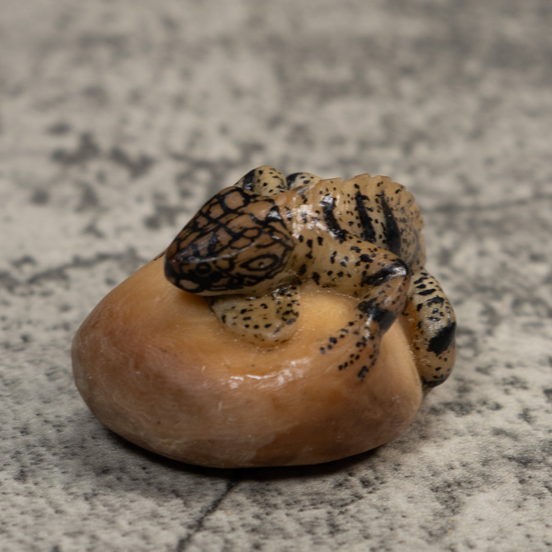 Vintage White And Black Iguana Lizard Tagua Carving