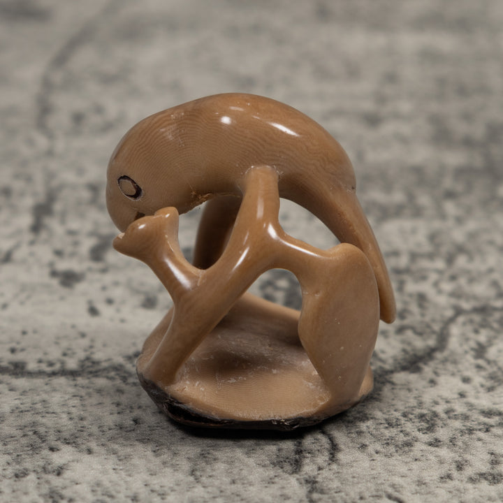 Vintage Parrot Bird Tagua Carving