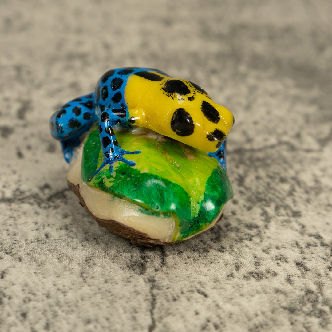Blue And Yellow Poison Dart Frog Tagua Carving
