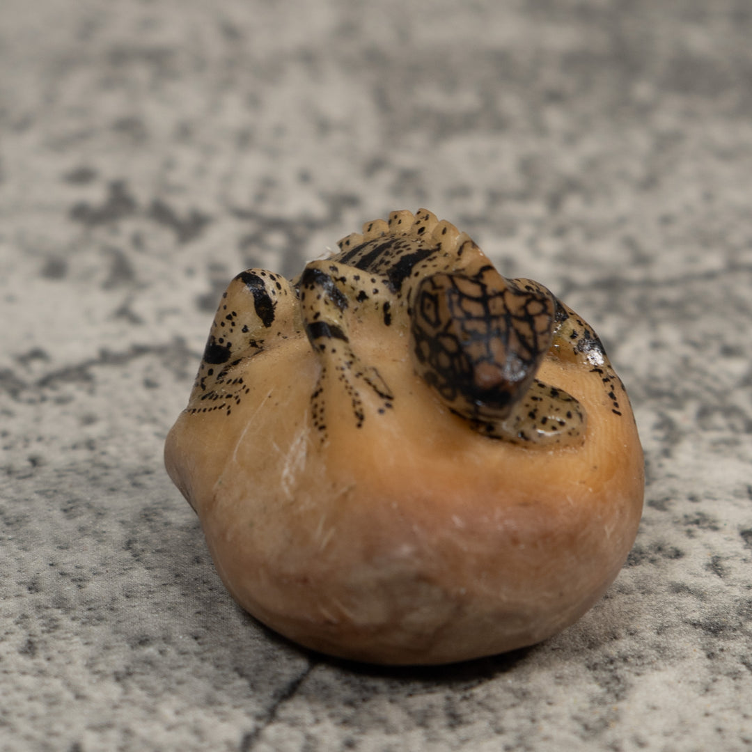Vintage White And Black Iguana Lizard Tagua Carving