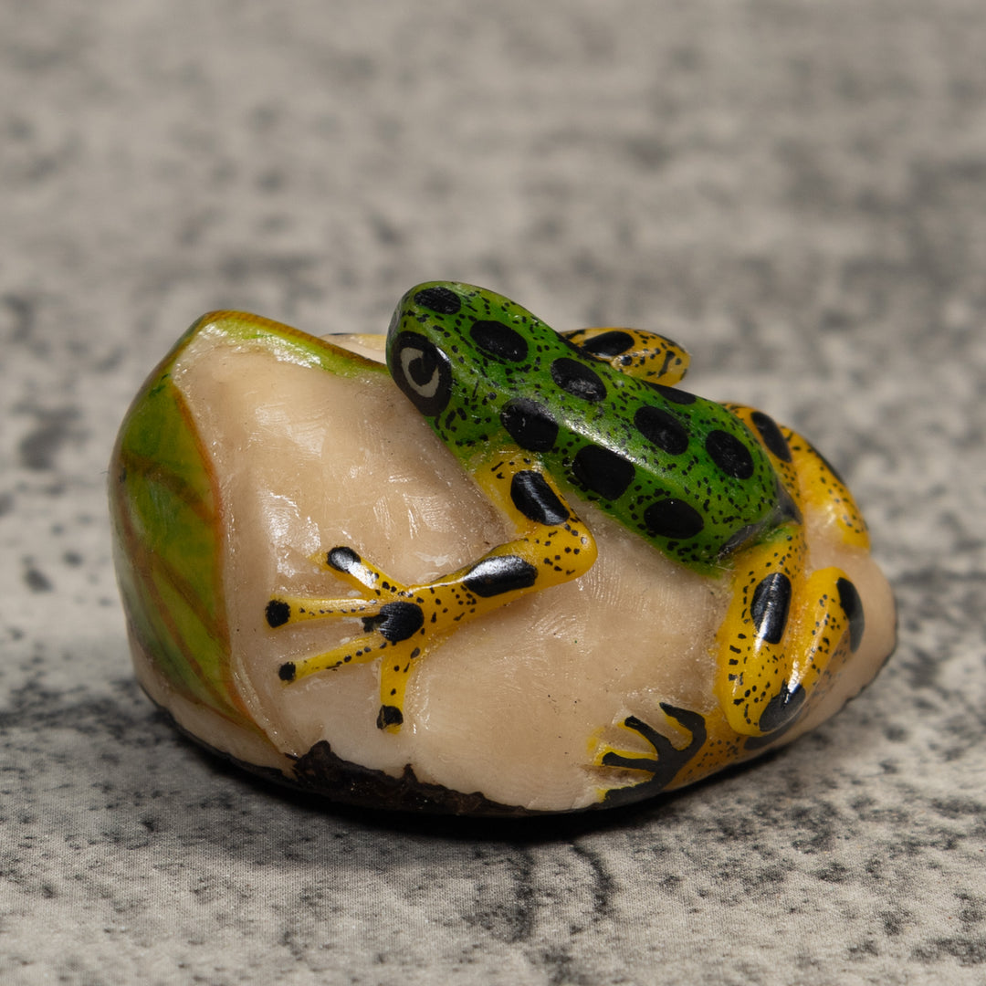 Green Yellow And Black Poison Dart Frog Tagua Carving