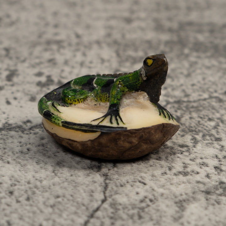 Black And Green Iguana Lizard Tagua Carving