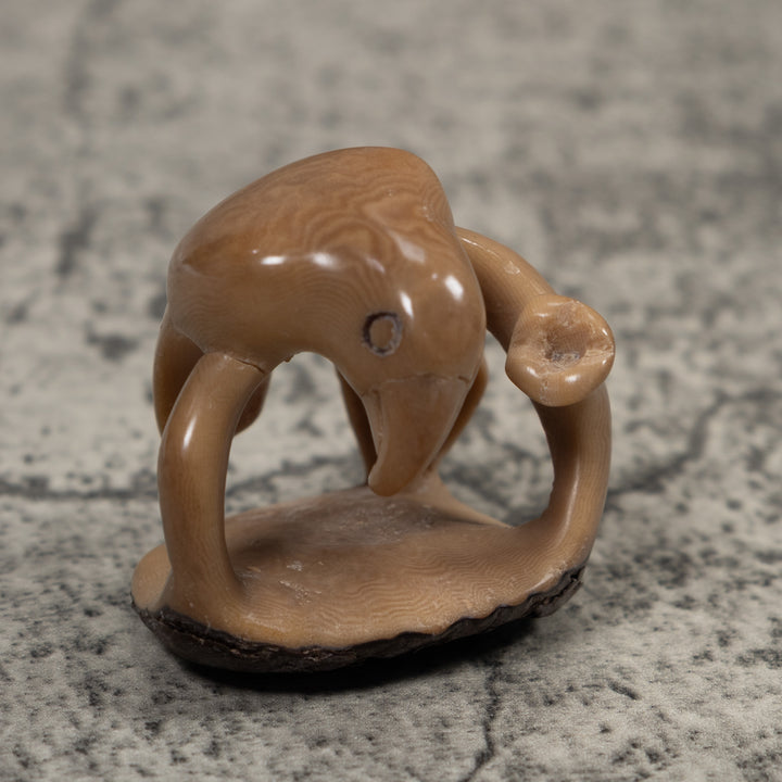 Vintage Parrot Bird Tagua Carving