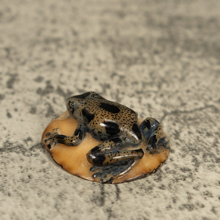 Translucent And Black Poison Dart Frog Tagua Carving