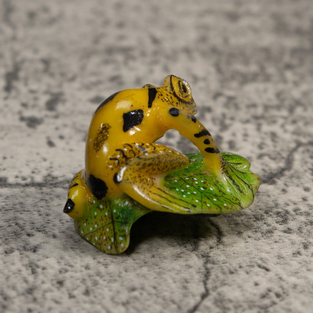 Black Yellow And Green Poison Dart Frog Tagua Carving