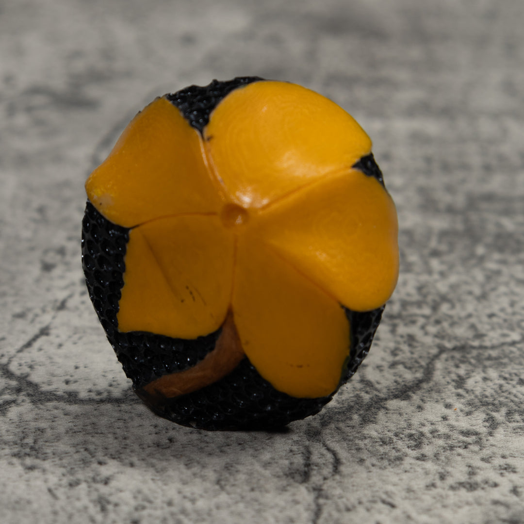 Owl Bird Tagua Carving