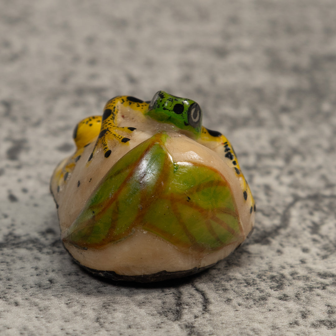 Green Yellow And Black Poison Dart Frog Tagua Carving