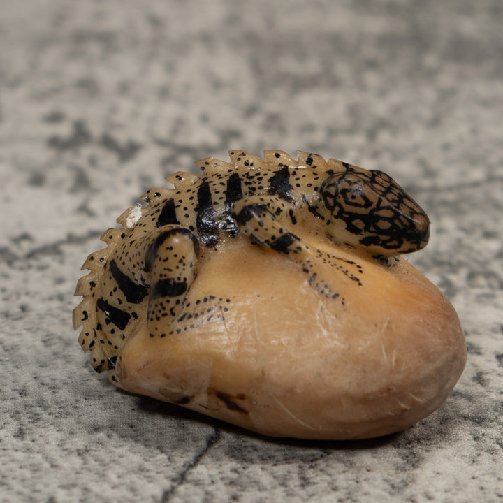 Vintage White And Black Iguana Lizard Tagua Carving