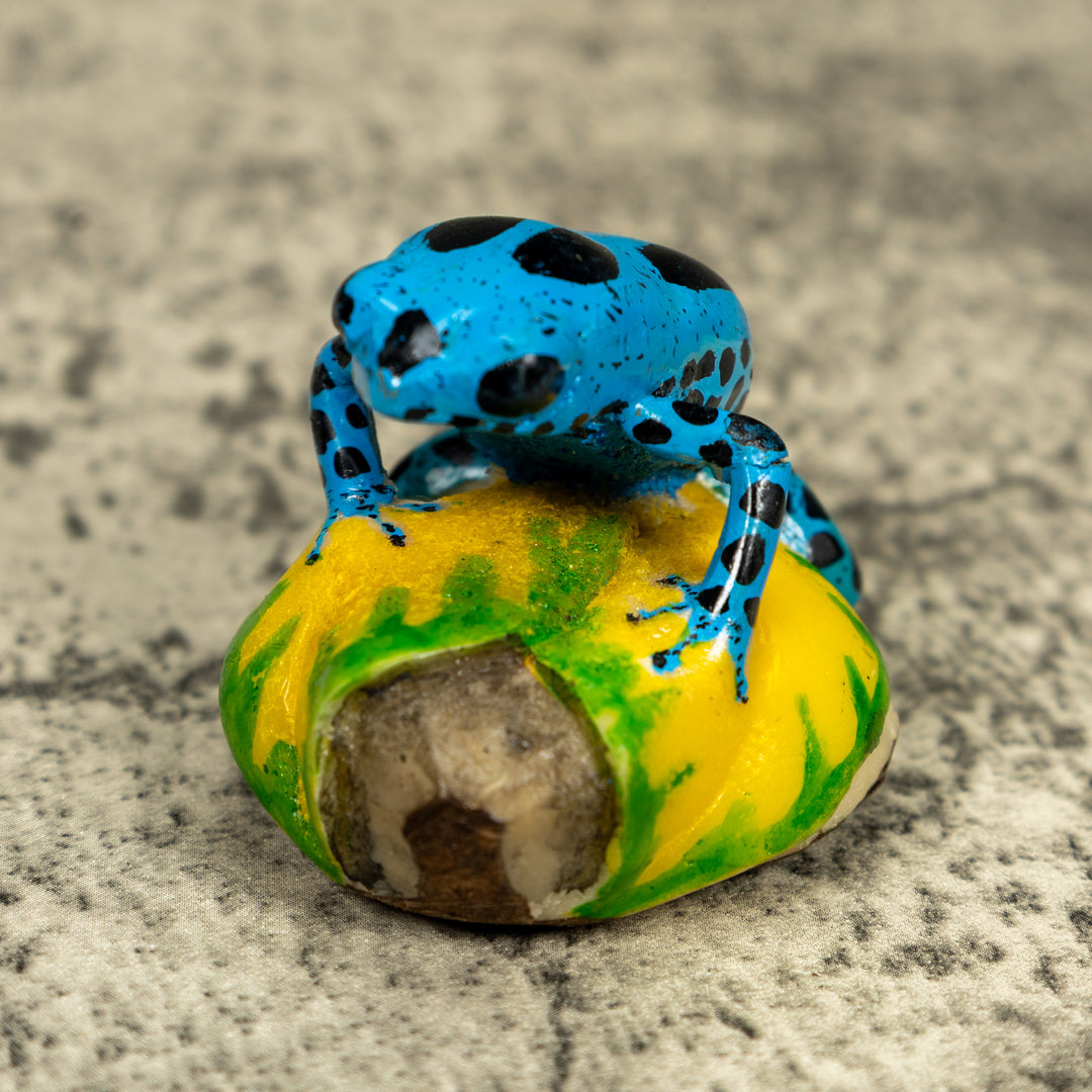 Blue And Black Poison Dart Frog Tagua Carving