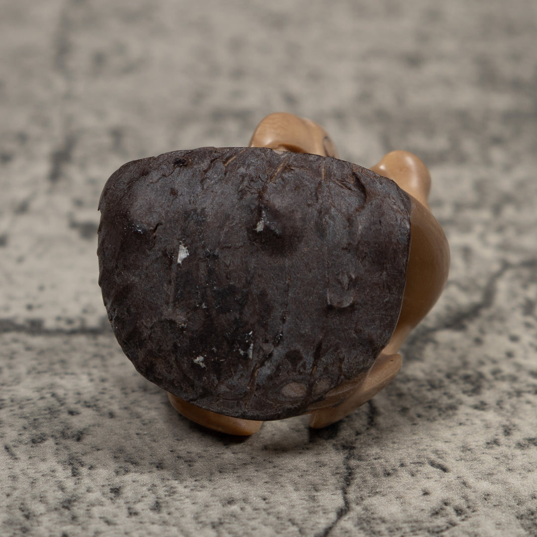 Vintage Parrot Bird Tagua Carving