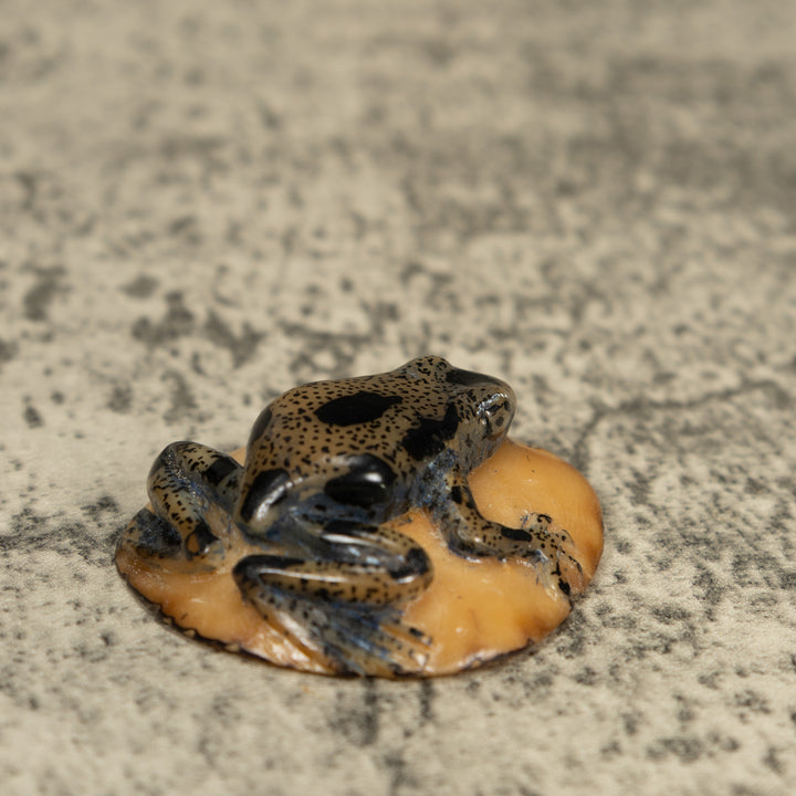 Translucent And Black Poison Dart Frog Tagua Carving