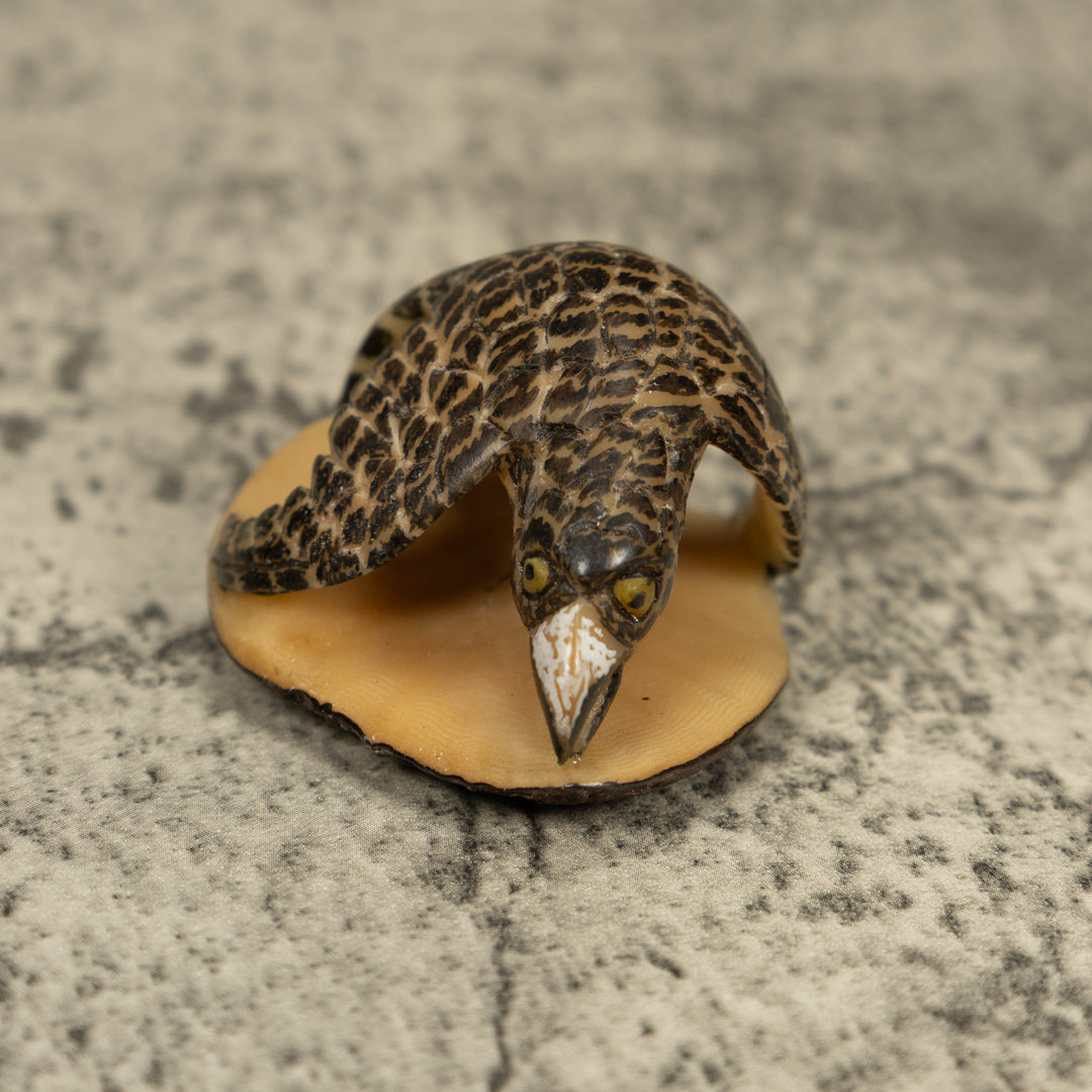 Vintage Feathered Hawk Bird Tagua Carving