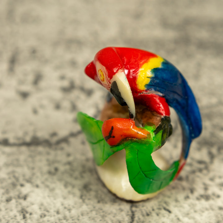 Macaw Parrot Bird Tagua Carving