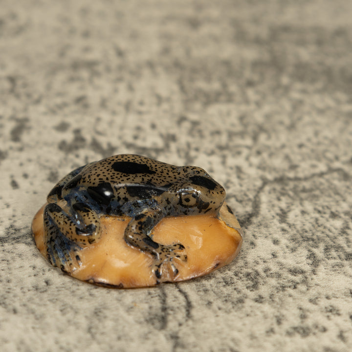 Translucent And Black Poison Dart Frog Tagua Carving