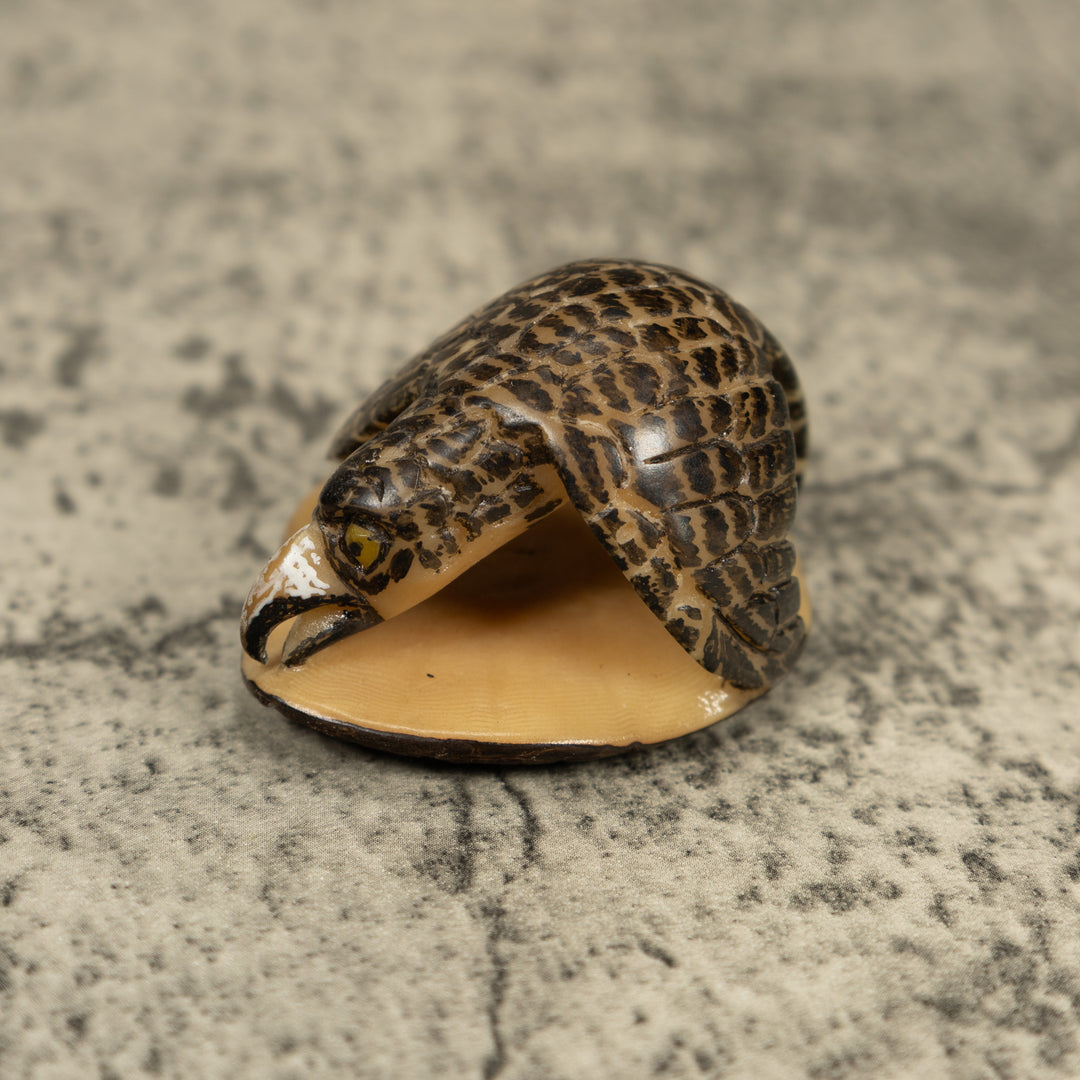 Vintage Feathered Hawk Bird Tagua Carving