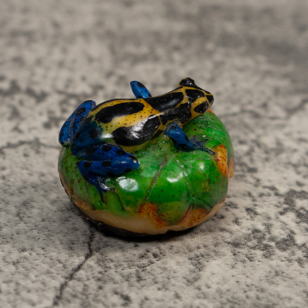 Black Blue And Yellow Poison Dart Frog Tagua Carving