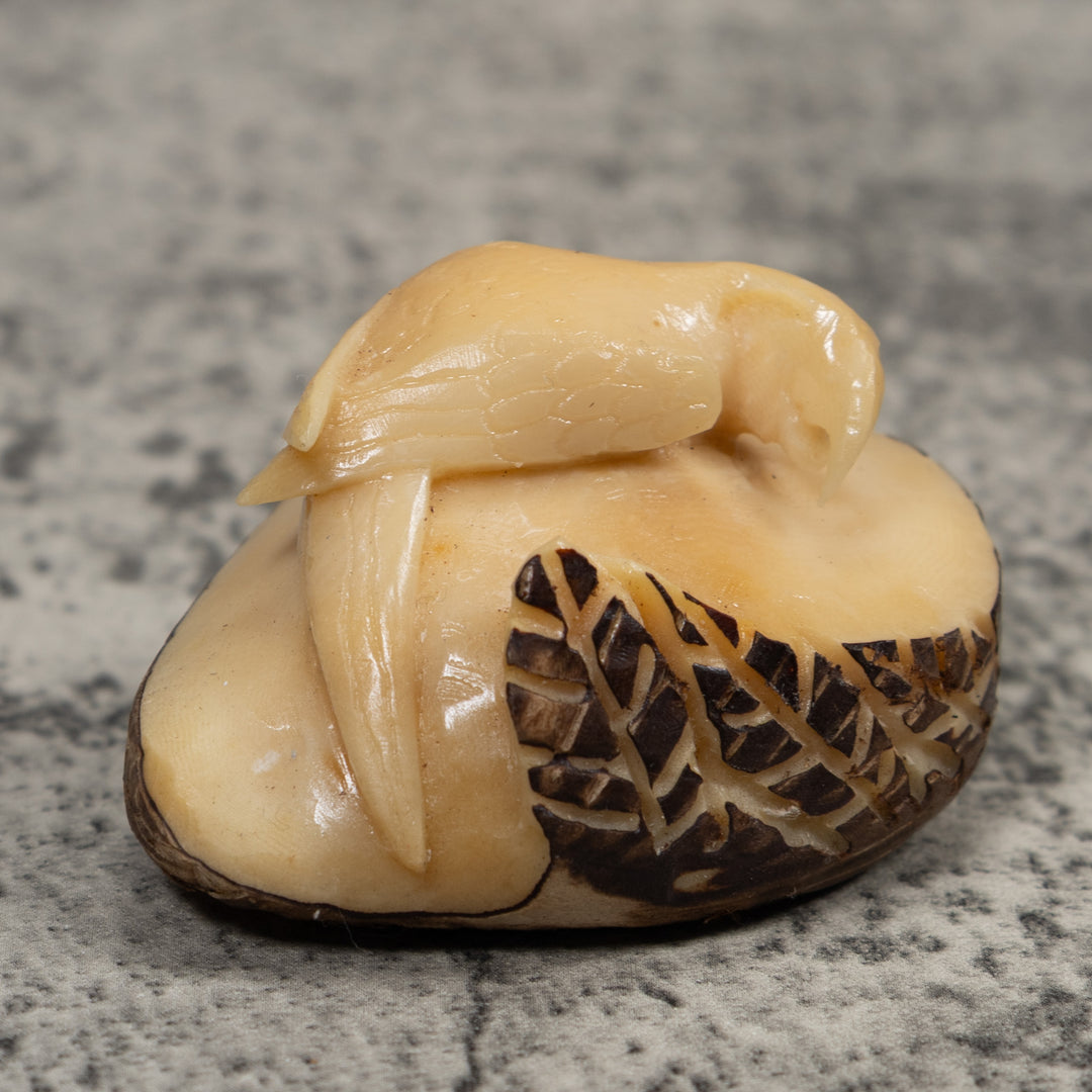 Vintage White Parrot Bird Tagua Carving