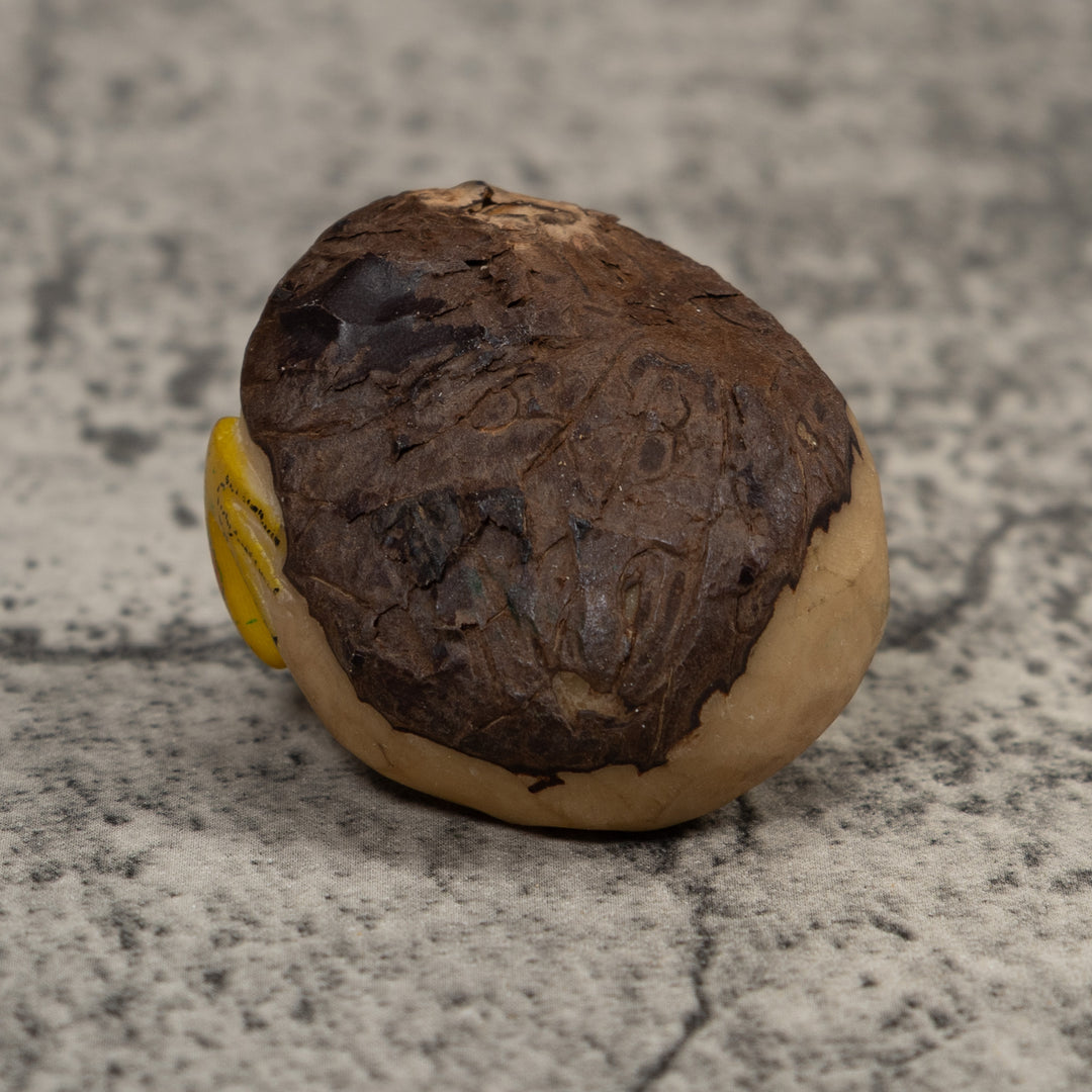 Vintage Yellow And Red FrogTagua Carving