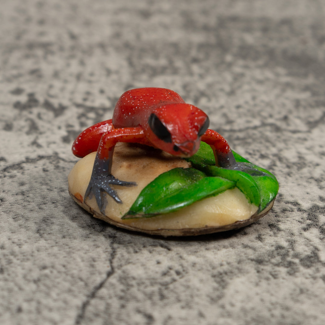 Red And Blsck-Eyed Poison Dart Frog Tagua Carving