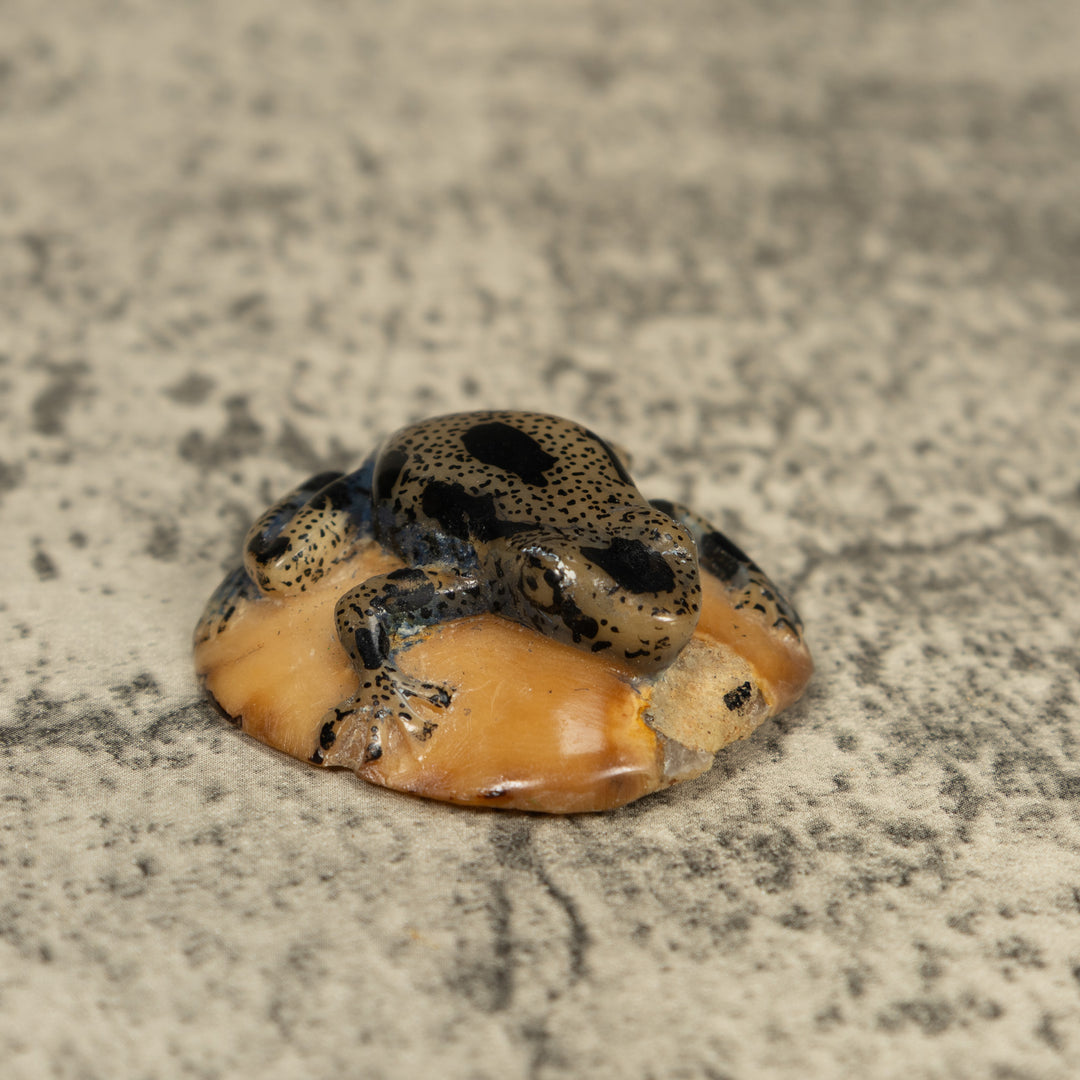 Translucent And Black Poison Dart Frog Tagua Carving