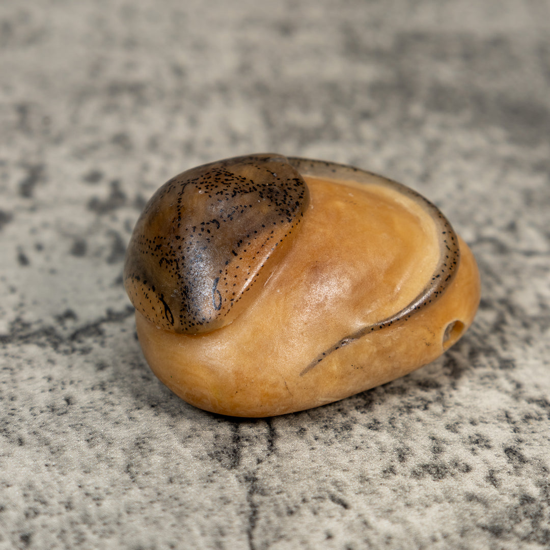 Vintage Black And White Sea Stingray Tagua Carving