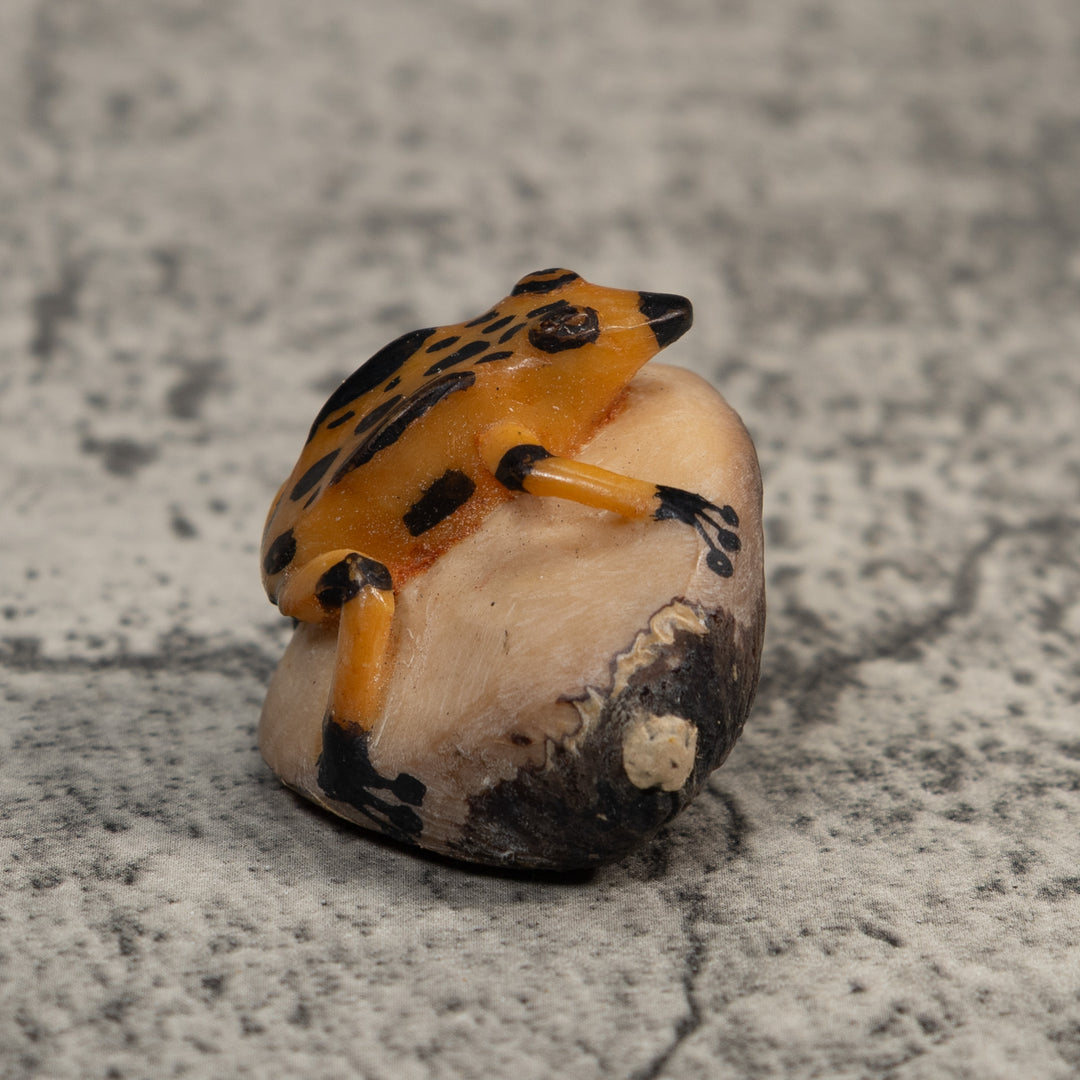 Vintage Gold And Black Poison Dart Frog Tagua Carving