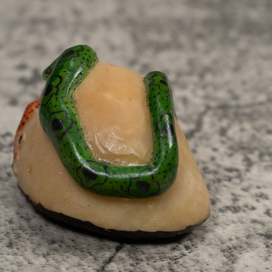 Snake Eating A Frog Tagua Carving