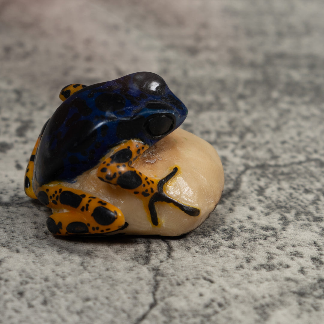 Vintage Blue And Orange Poison Dart Frog Tagua Carving