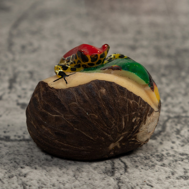 Red Yellow And Black Poison Dart Frog Tagua Carving