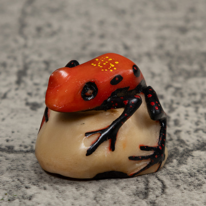 Vintage Poison Dart Frog Tagua Carving