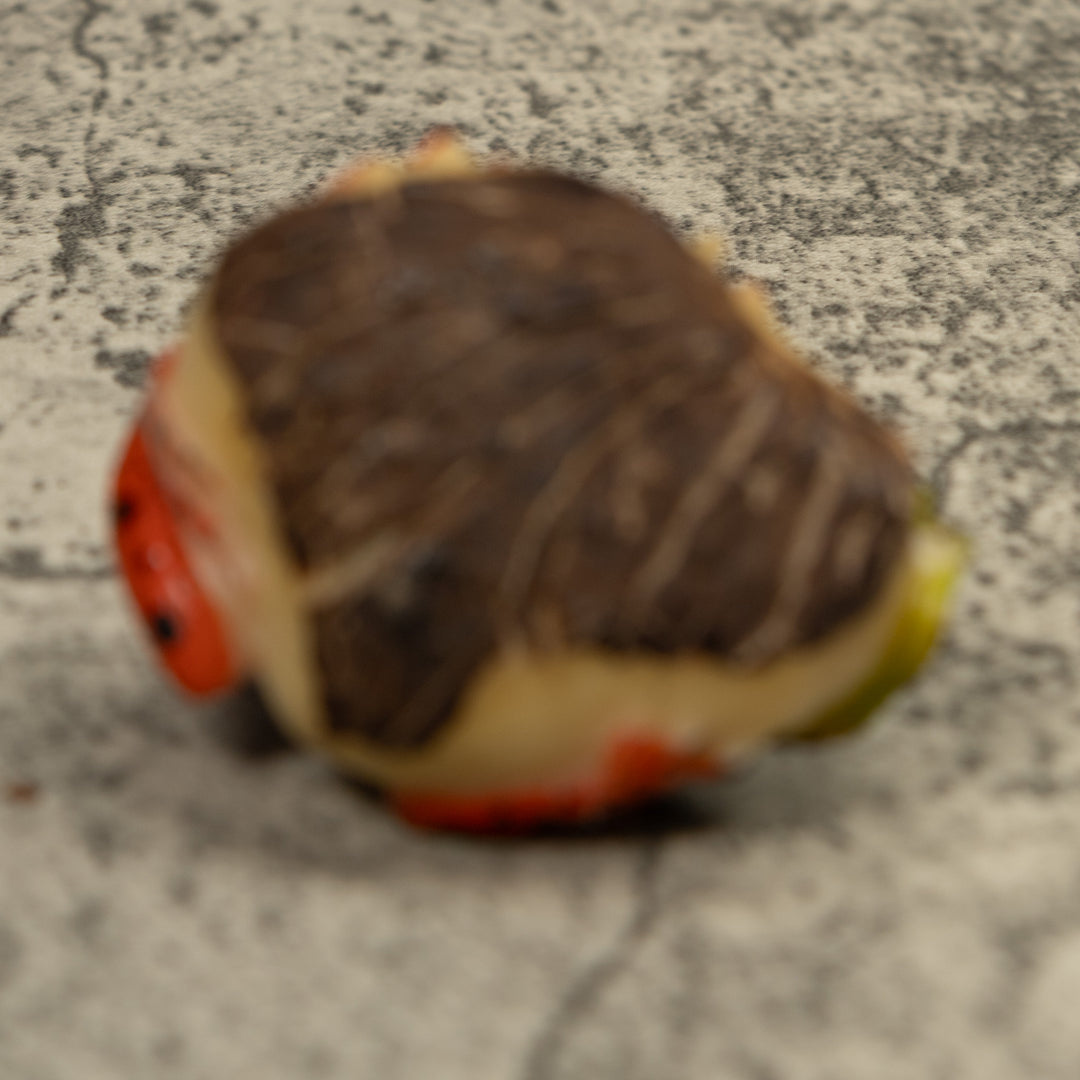 Poison Dart Frog Tagua Carving