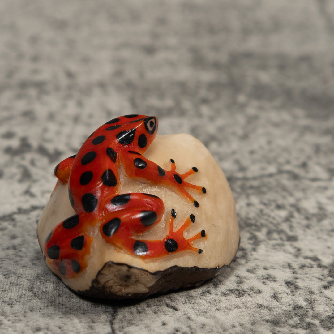 Vintage Red And Black Poison Dart Frog Tagua Carving