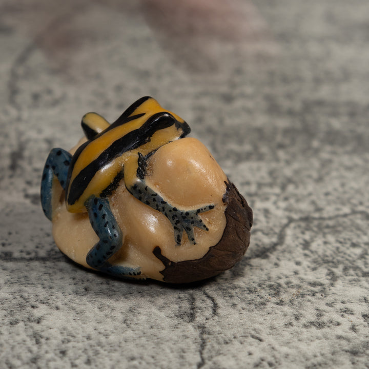 Vintage Yellow And Black Poison Dart Frog Tagua Carving