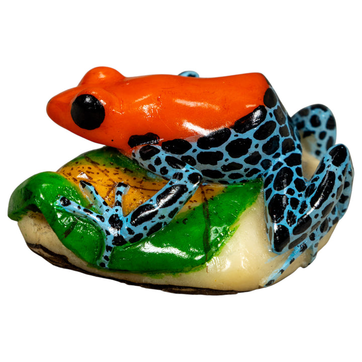 Blue Orange And Black Poison Dart Frog On Leaf Tagua Carving