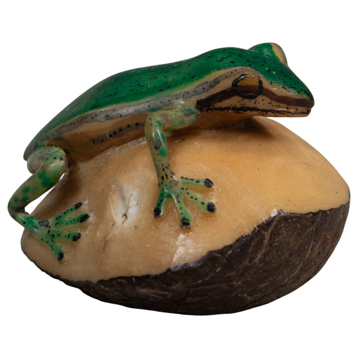 Green and Black Poison Dart Frog Tagua Carving